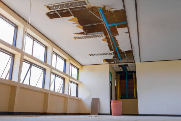 Best Commercial water damage restoration  in Newberry, SC