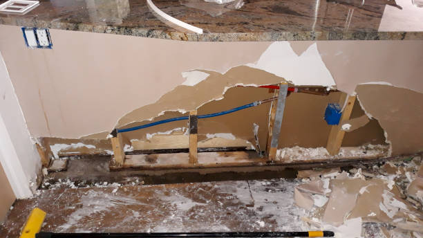 Best Water damage cleanup near me  in Newberry, SC