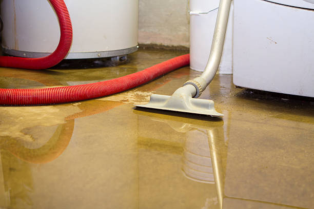 Best Water damage restoration process  in Newberry, SC