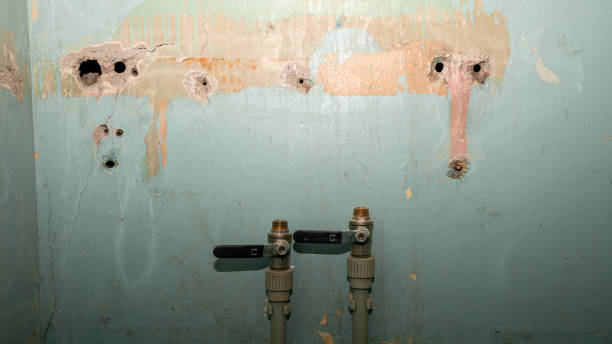 Best Carpet water damage restoration  in Newberry, SC