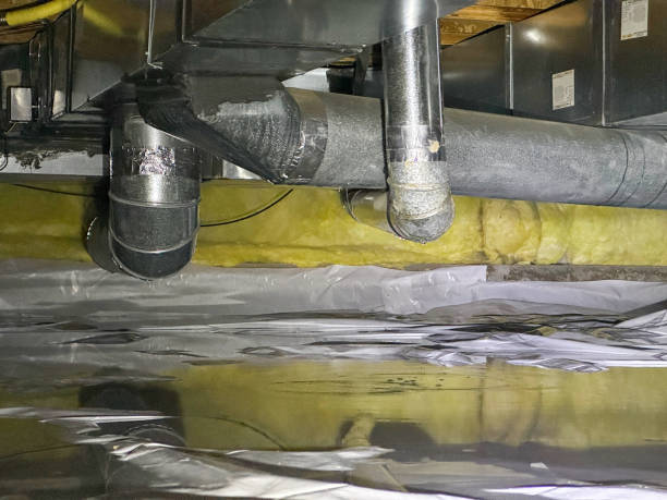 Best Flooded house restoration  in Newberry, SC